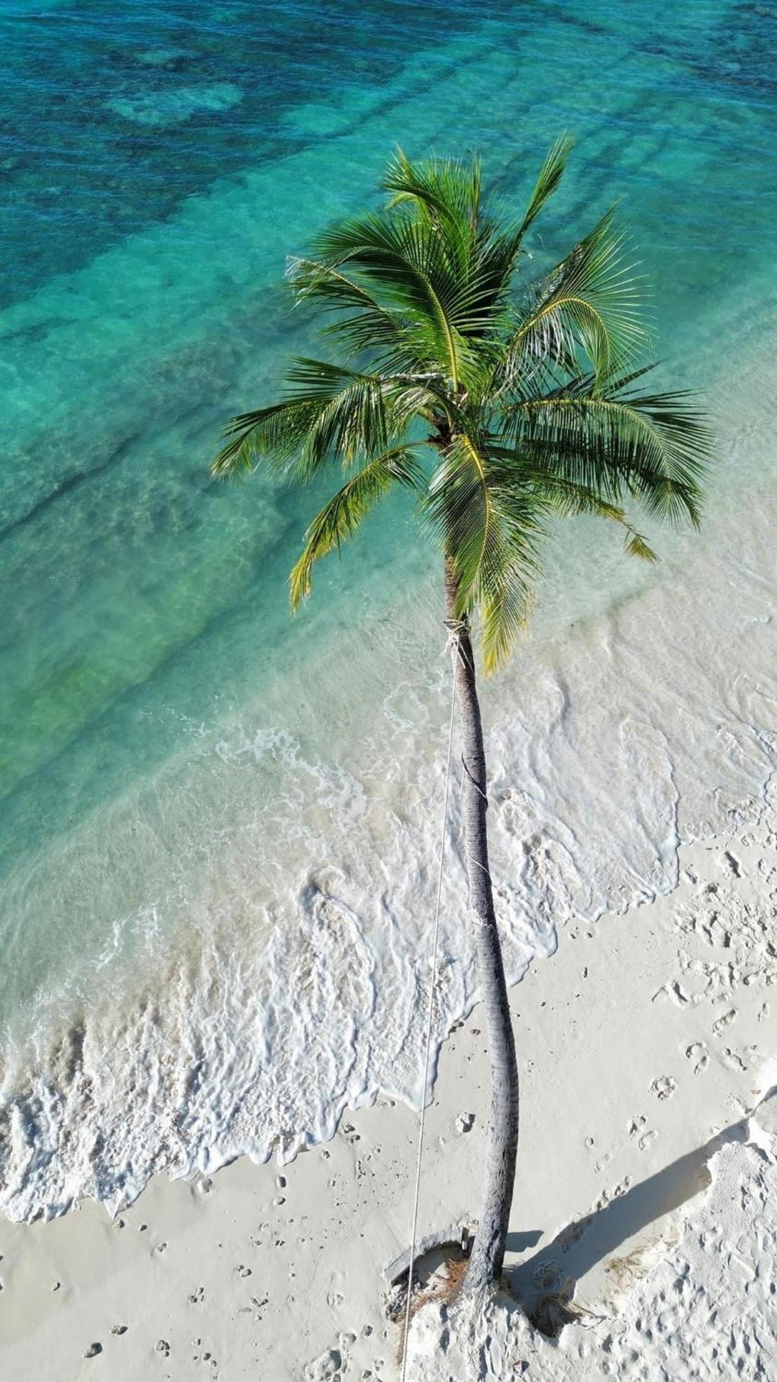 Island Scuba Inn Dhangethi Luaran gambar