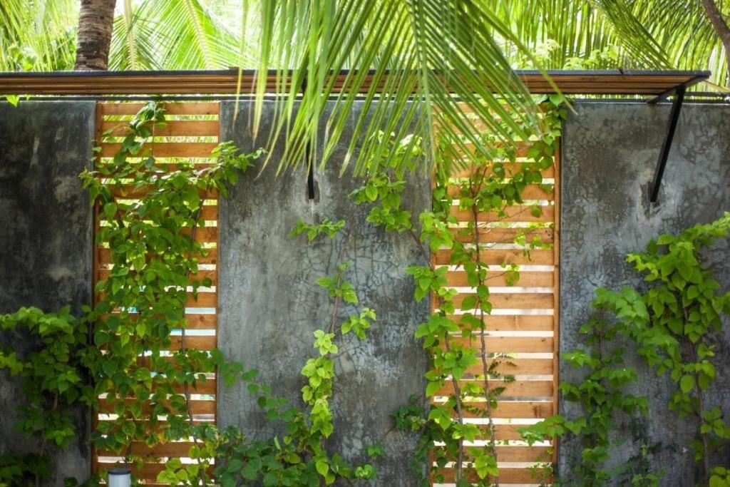 Island Scuba Inn Dhangethi Luaran gambar