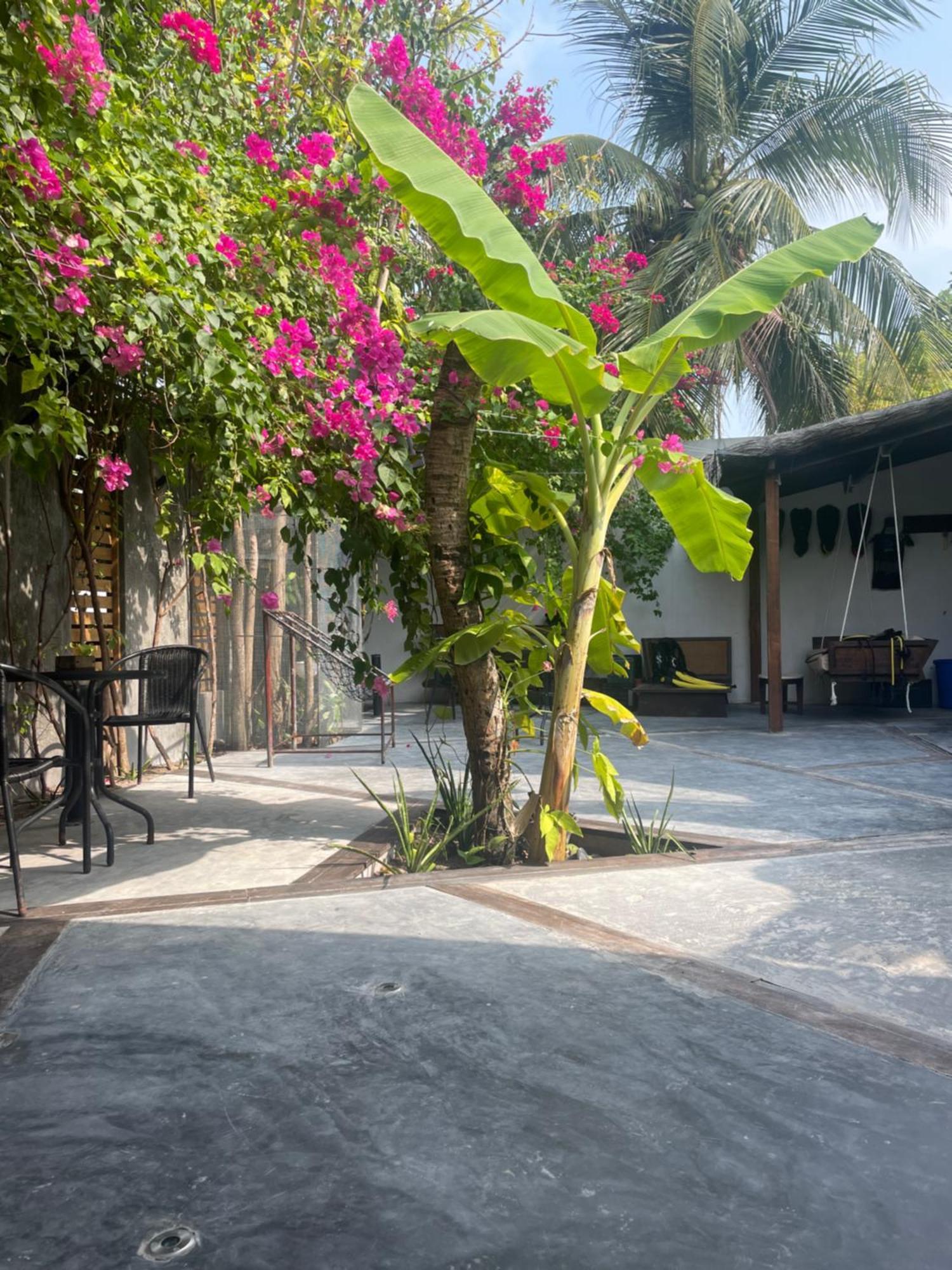 Island Scuba Inn Dhangethi Luaran gambar